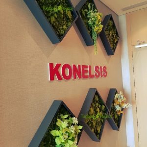 KONELSİS3