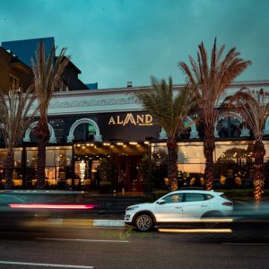 aland steak dış mekan bitkisel3